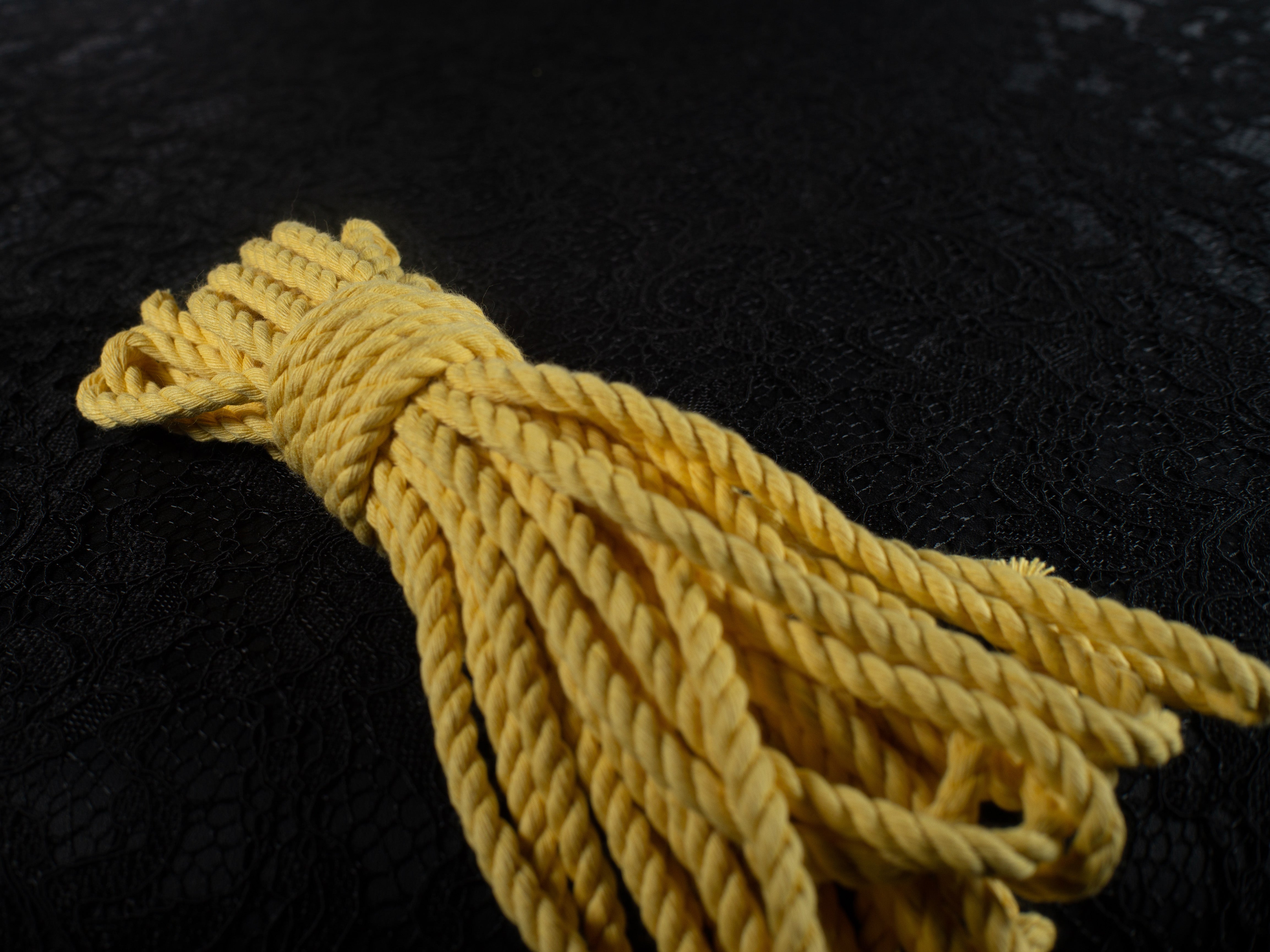 Yellow Hatching Rope Daisy Yellow Twisted Cotton Rope Set – Twisted Syn